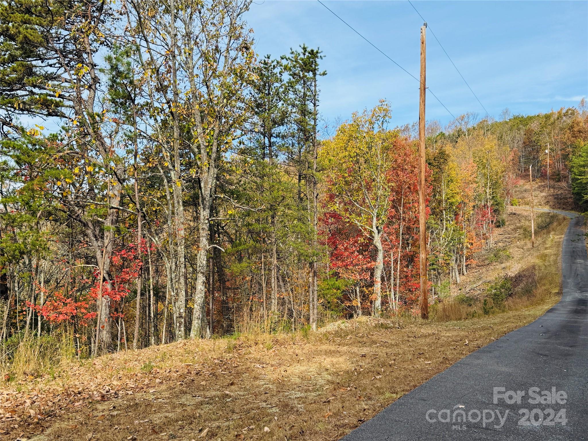 3641 Methodist Park Road Valdese, NC 28690 - Photo 4 of 9 Gallery Image 4