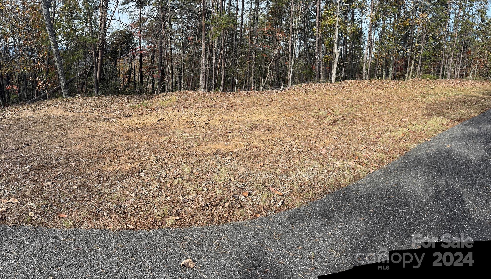 3641 Methodist Park Road Valdese, NC 28690 - Photo 8 of 9 Gallery Image 8