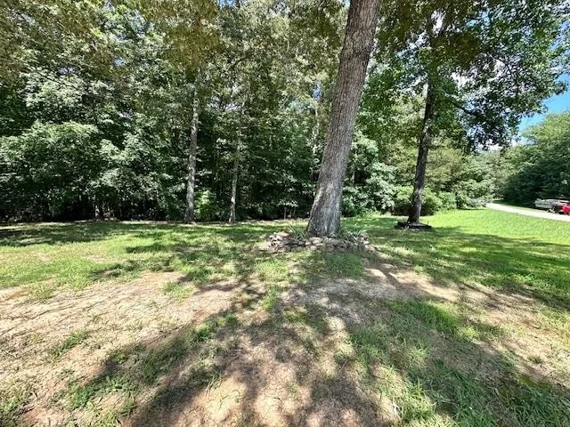 a view of outdoor space with trees all around