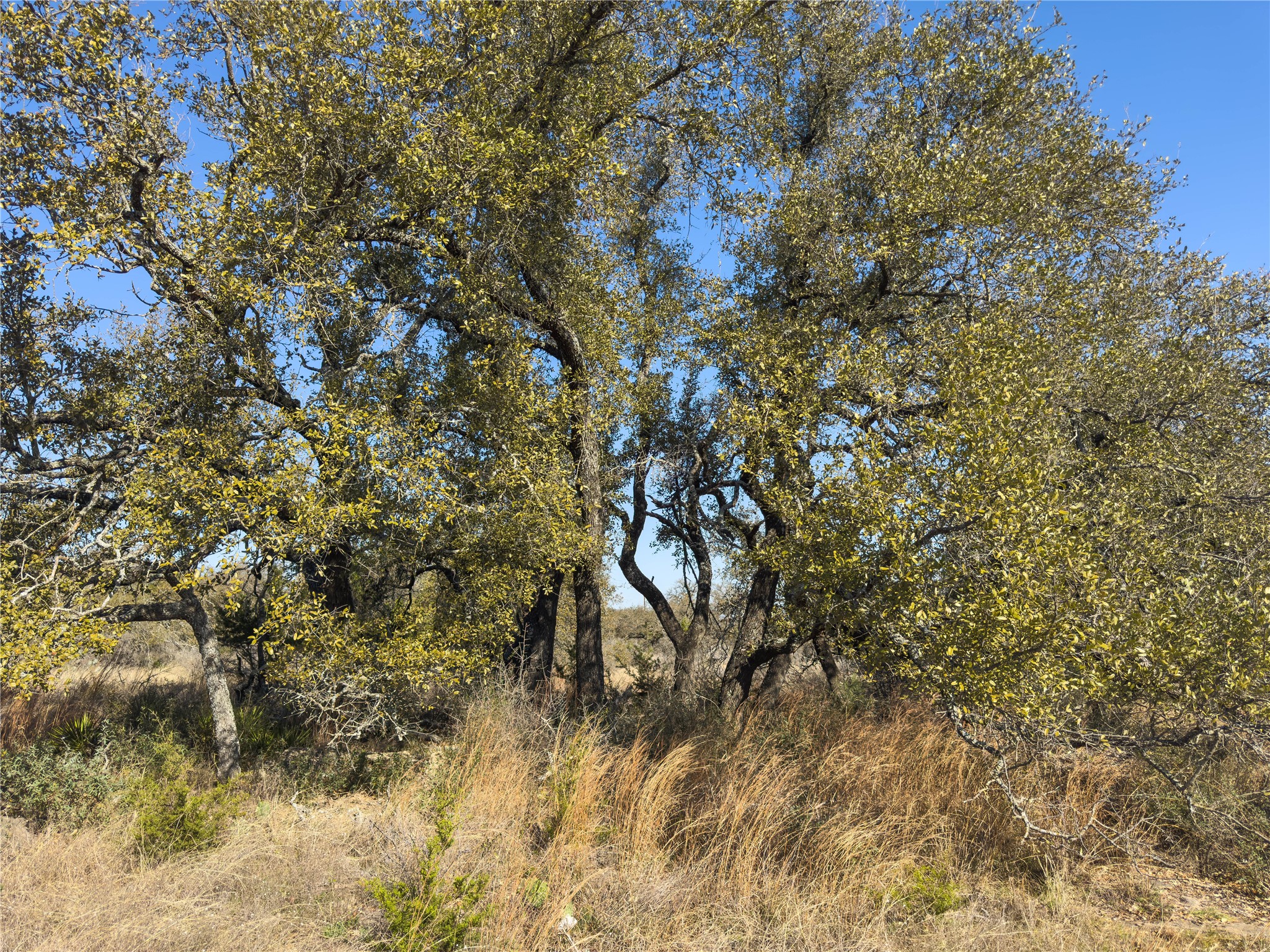 Lot 20 Comanche Ridge Round Mountain, TX 78663 - Photo 30 of 34 LOT 20 STREET LEVEL