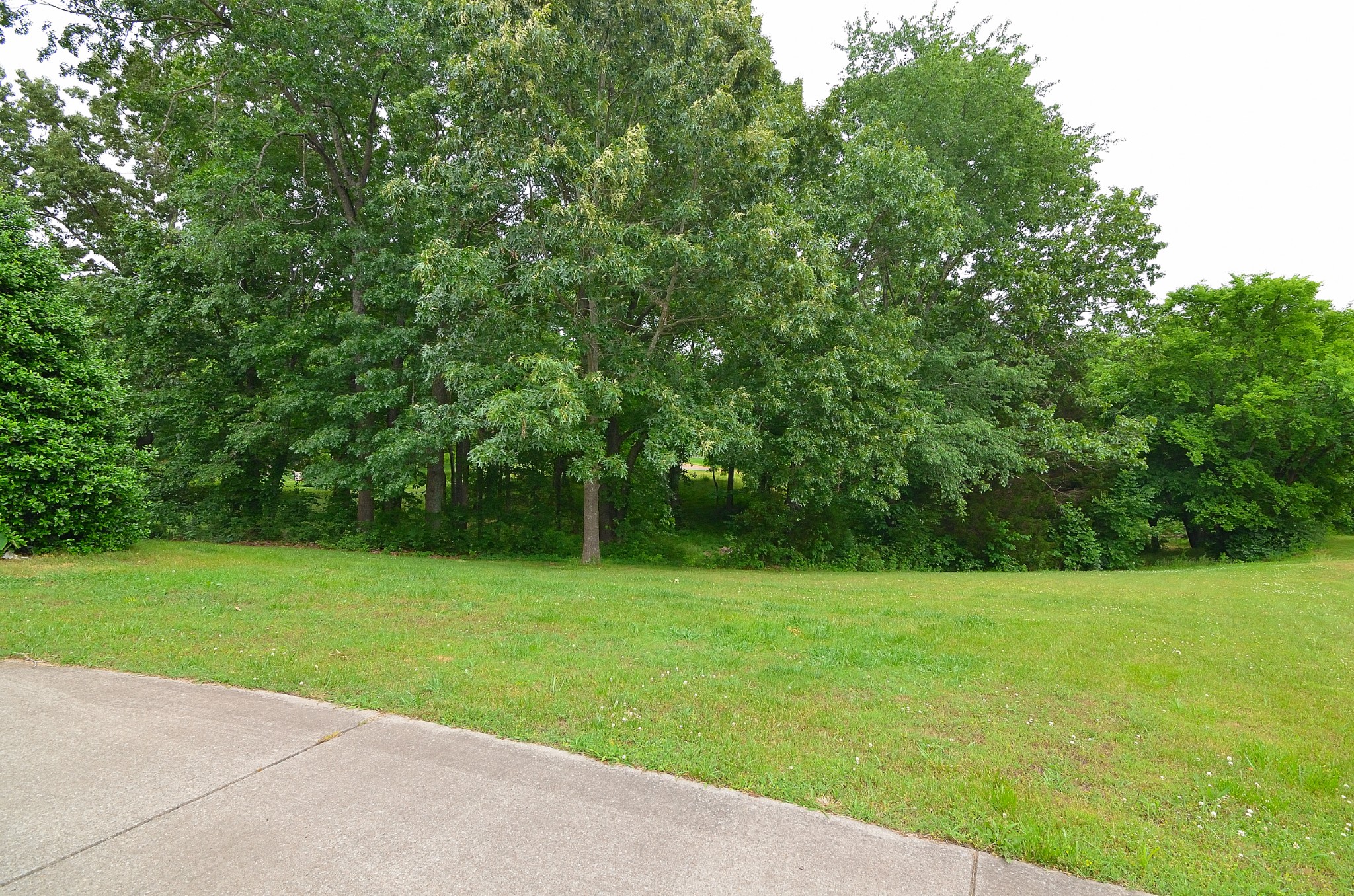 2600 Derby Run Road Springfield, TN 37172 - Photo 54 of 57