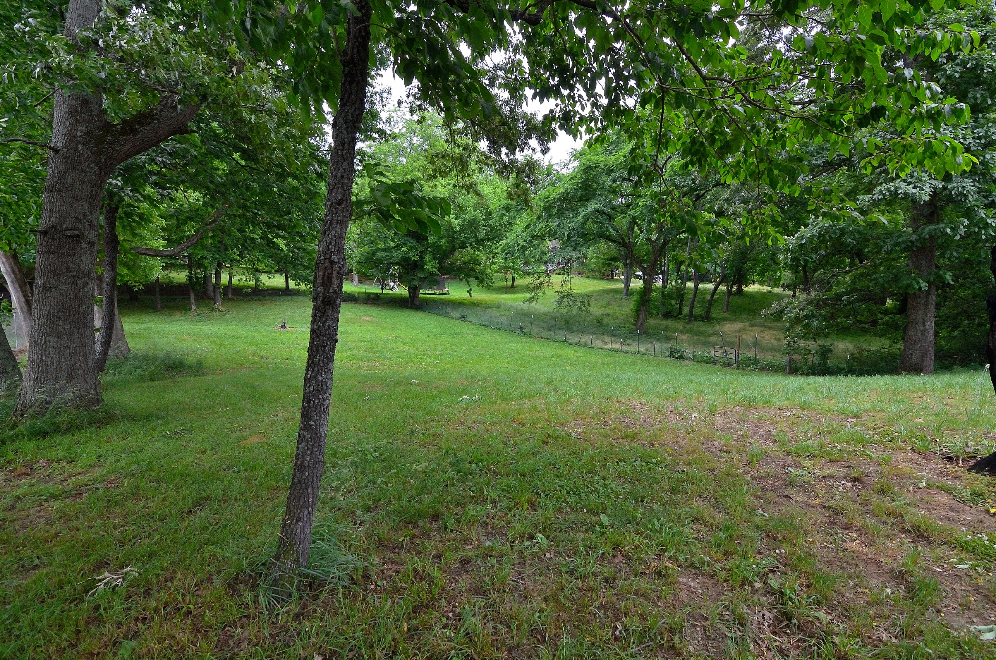 2600 Derby Run Road Springfield, TN 37172 - Photo 56 of 57 a view of a grassy field with trees in the background