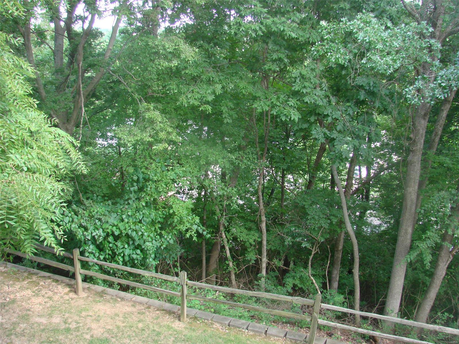 749 Ridgeside Drive, Unit J Ballwin, MO 63021 - Photo 4 of 7