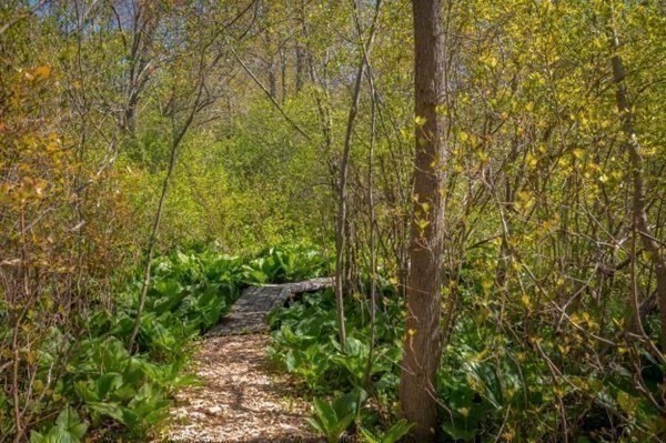 4 Cushing Street Hingham, MA 02043 - Photo 31 of 42