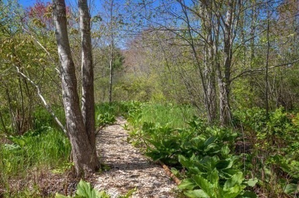 4 Cushing Street Hingham, MA 02043 - Photo 33 of 42