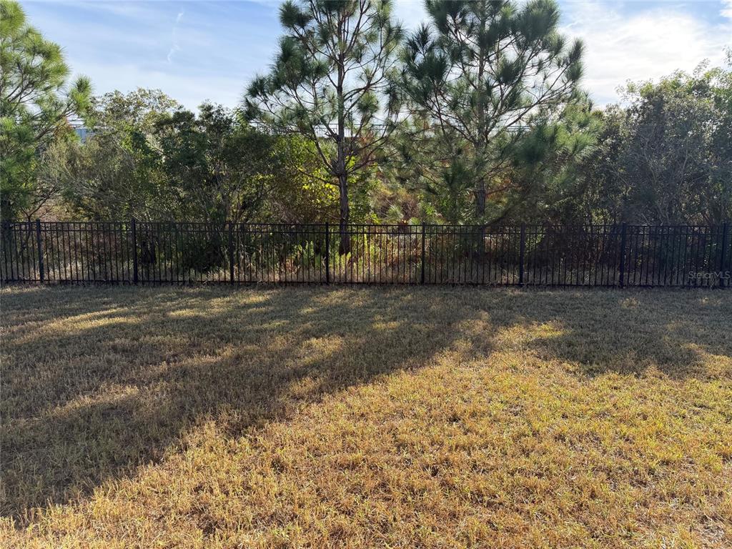 6204 Colmar Place Apollo Beach, FL 33572 - Photo 11 of 57 a view of a yard with trees in front of it