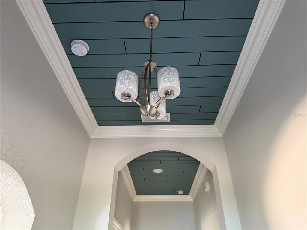 6204 Colmar Place Apollo Beach, FL 33572 - Photo 13 of 57