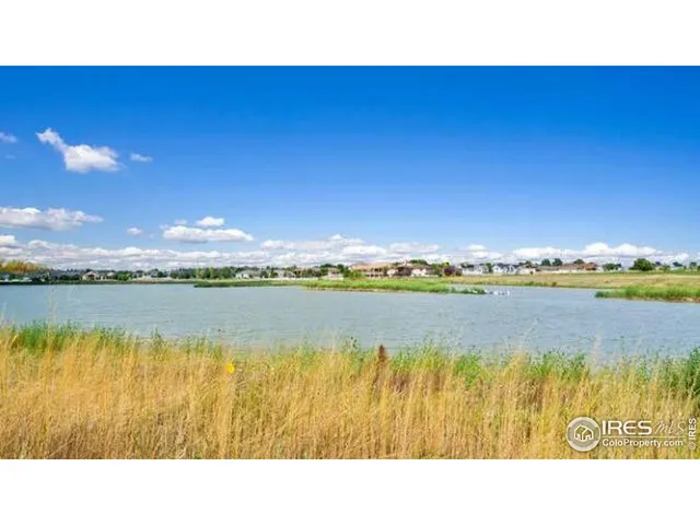 a black and white photo of a lake