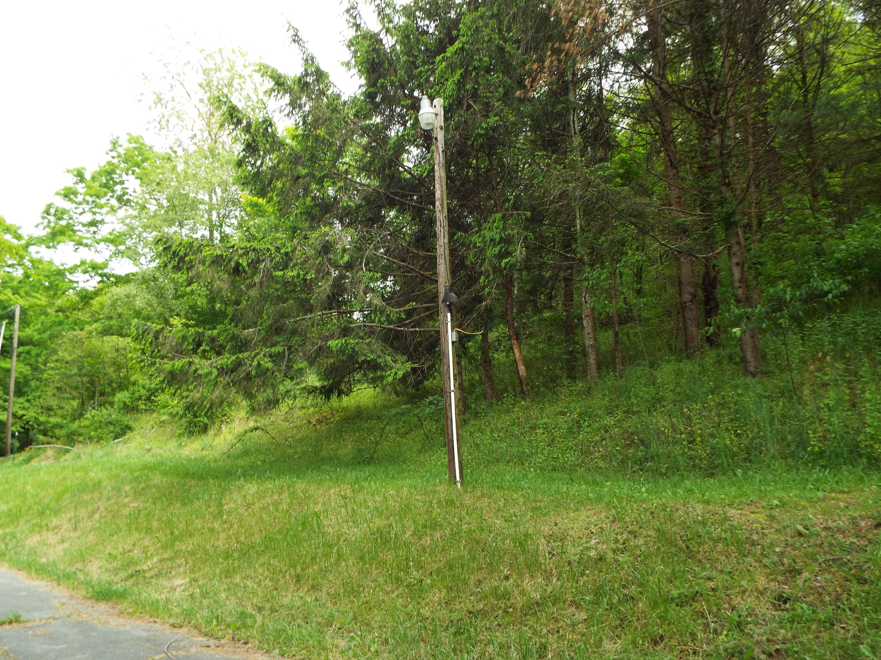 236 Mike Stuart Road Ronceverte, WV 24970 - Photo 8 of 20 Gallery Image 8