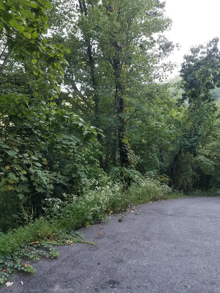1 Overholt Trail Sevierville, TN 37862 - Photo 6 of 7