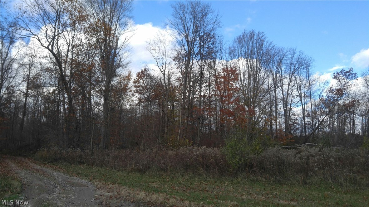 Lance Road Medina, OH 44256 - Photo 9 of 12 Gallery Image 9
