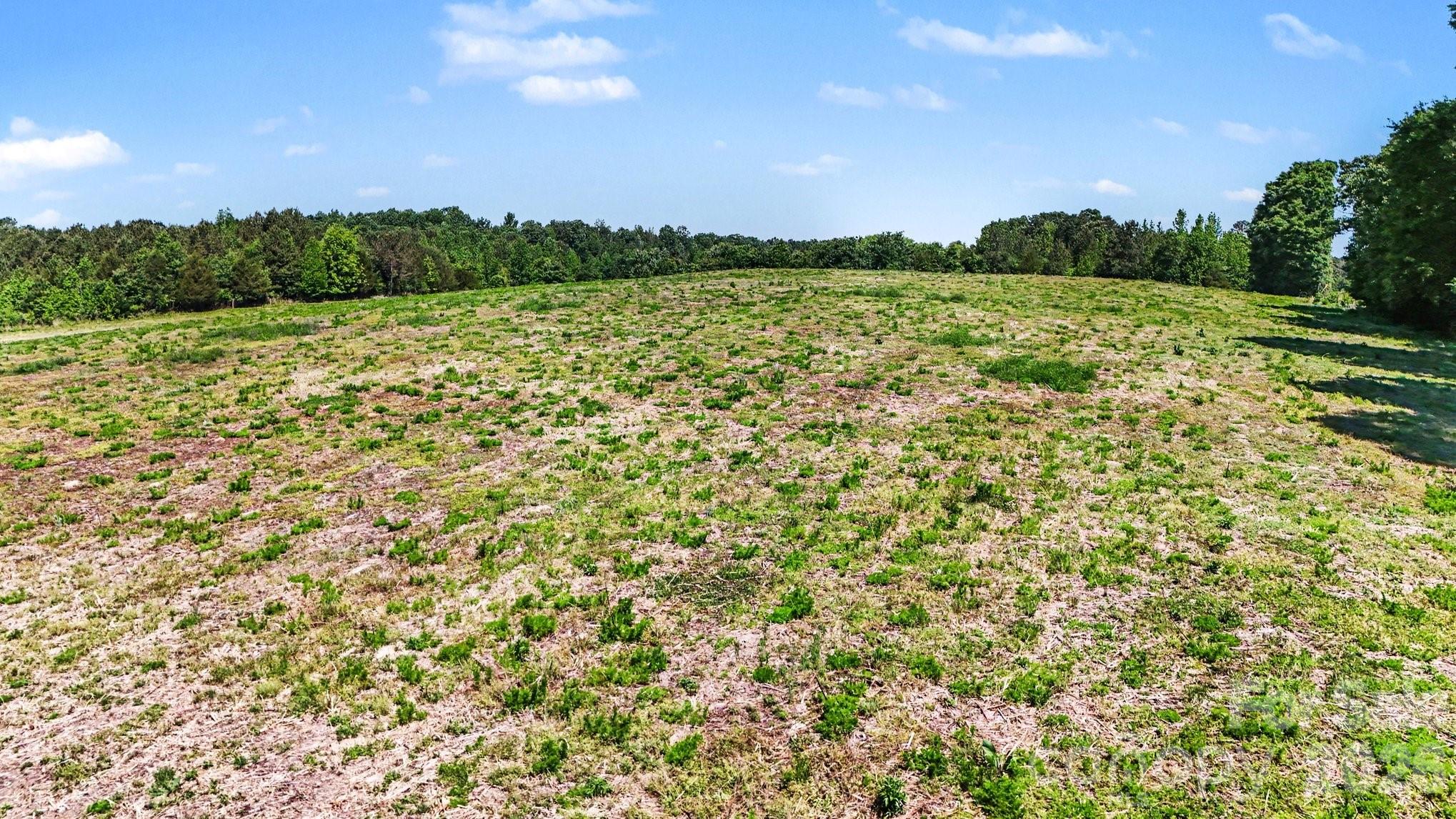 1832 Tysinger Road Denton, NC 27239 - Photo 5 of 21 a view of a green field with an ocean view