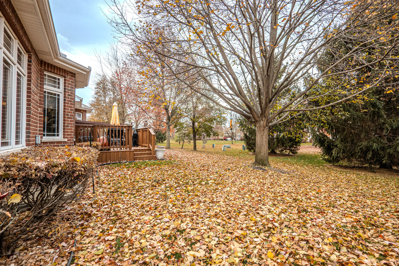18808 Foxglove Lane Mokena, IL 60448 - Photo 23 of 26 a pathway of a house with a yard covered in snow
