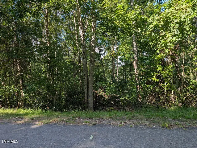 $21,000 | Tbd Deer Creek Crossing, Unit 23, Mountain City, TN 37683