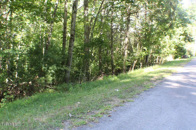 $21,000 | Tbd Deer Creek Crossing, Unit 23, Mountain City, TN 37683