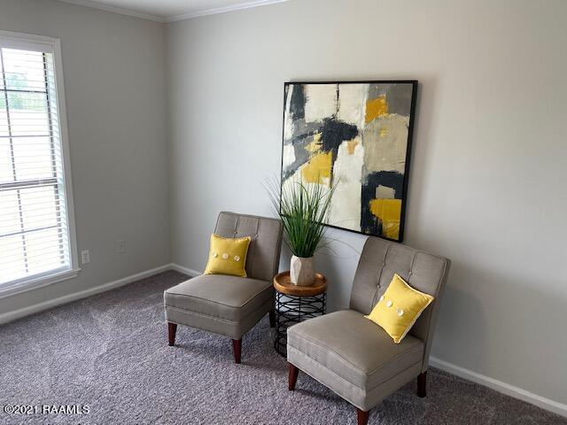 721 East Butcher Switch Road Lafayette, LA 70507 - Photo 17 of 29 Gallery Image 17
