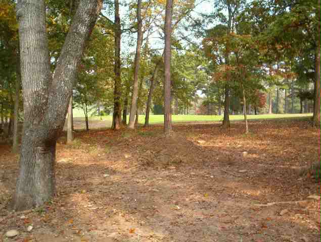 103 Linkside Drive, Unit LOT 30 Anderson, SC 29621 - Photo 8 of 8 Gallery Image 8