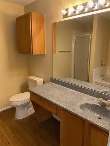 a bathroom with a granite countertop toilet sink and mirror