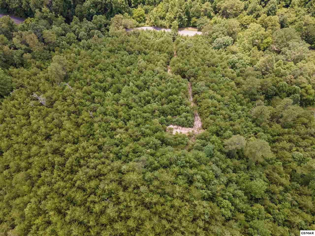 43 Sharp Road Sevierville, TN 37876 - Photo 14 of 24 a view of a big yard with plants and large trees