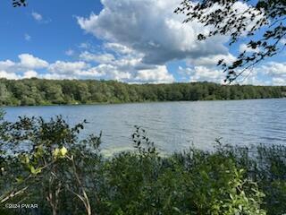 Lot R-c3 Spruce Lake Road Thompson, PA 18465 - Photo 14 of 17