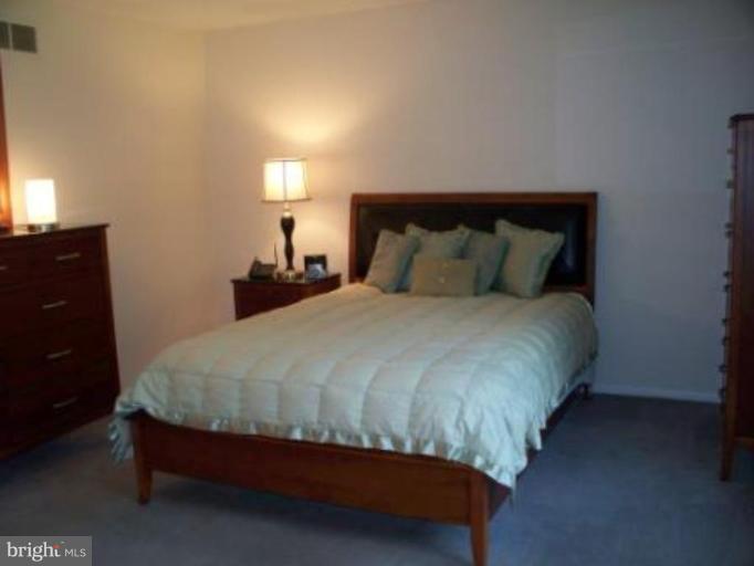 7425 Old Washington Road Woodbine, MD 21797 - Photo 8 of 20 Master Bedroom