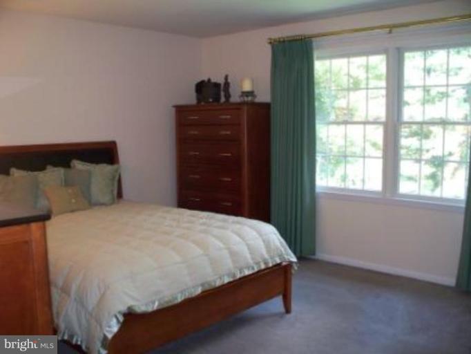 7425 Old Washington Road Woodbine, MD 21797 - Photo 10 of 20 Master Bedroom #2