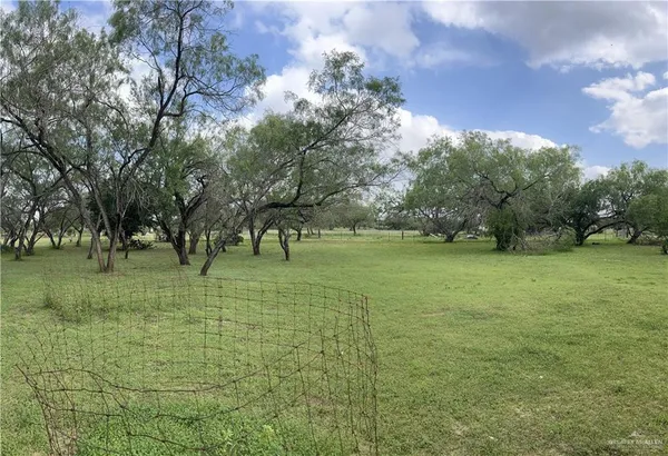 a view of a field with tree in the background