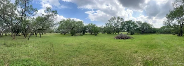 a view of grassy field with trees