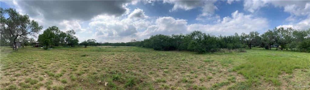 0 Riojas Road San Isidro, TX 78588 - Photo 3 of 16 a view of a garden