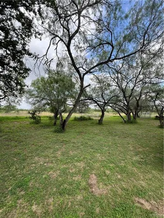 a view of a trees with a yard