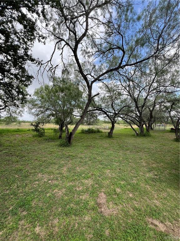 0 Riojas Road San Isidro, TX 78588 - Photo 7 of 16 a view of a trees with a yard