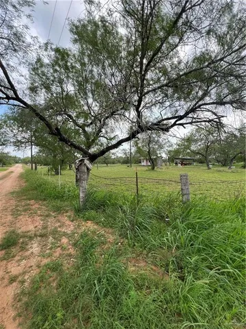 a view of a field with an trees in the background