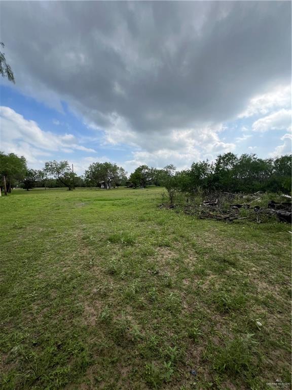 0 Riojas Road San Isidro, TX 78588 - Photo 9 of 16 a view of a field with an trees in the background