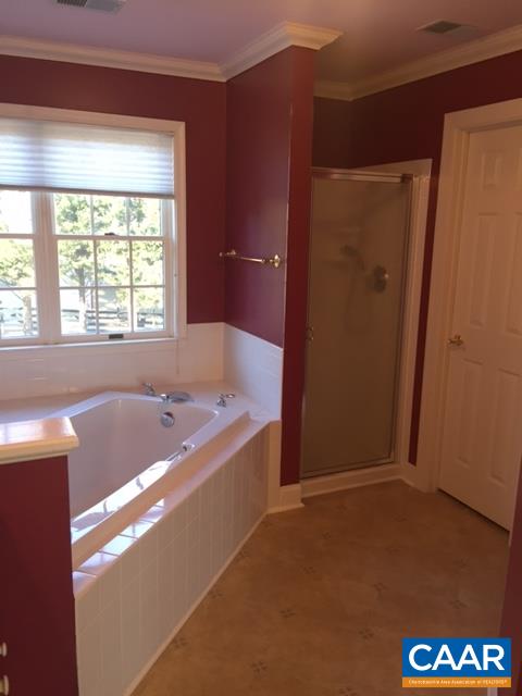 894 Graves Mill Road Madison, VA 22727 - Photo 16 of 40 a bathroom with a bathtub and a shower