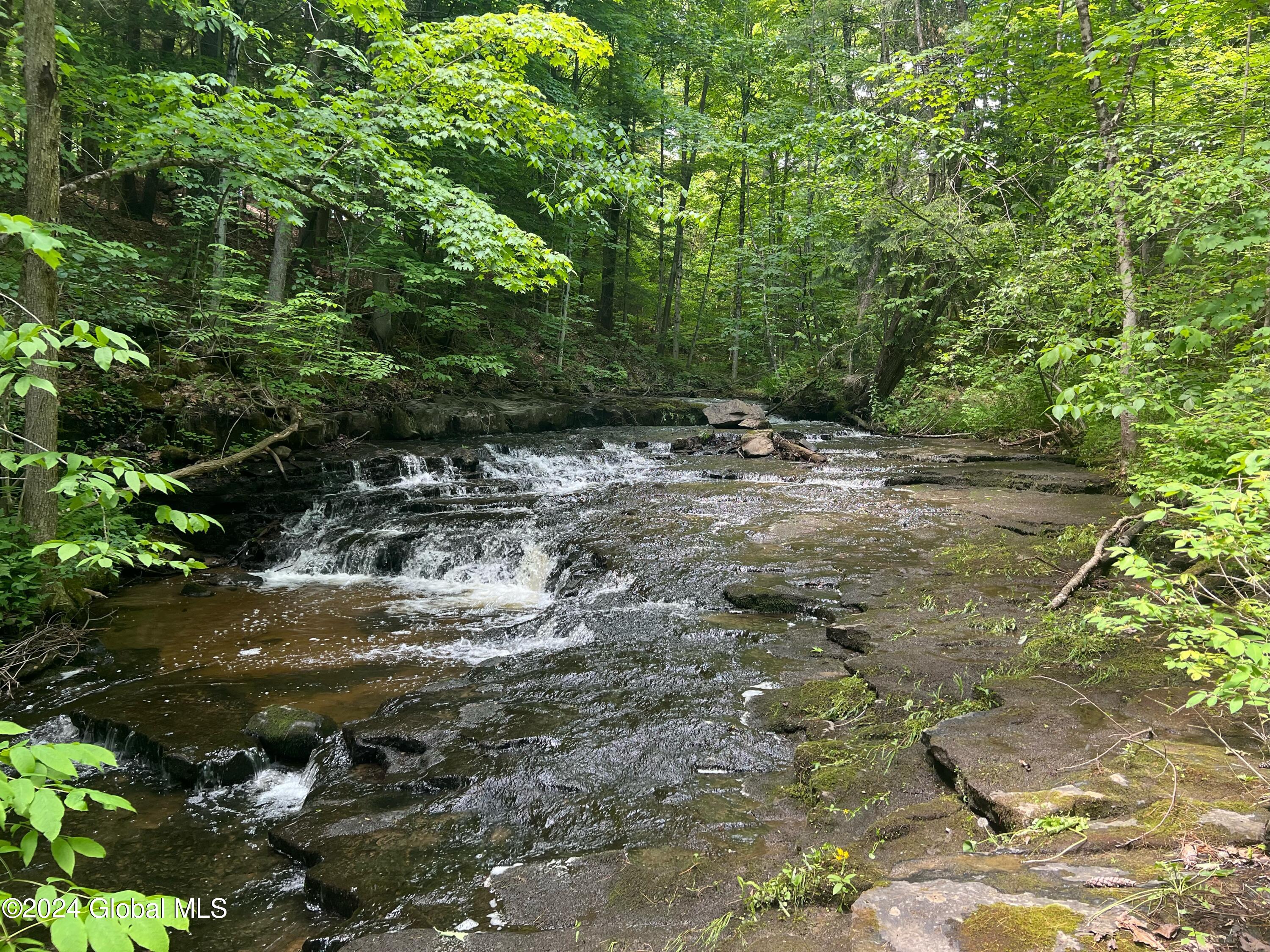L5.2 Hermance Road Galway, NY 12074 - Photo 1 of 11 image0 (5)