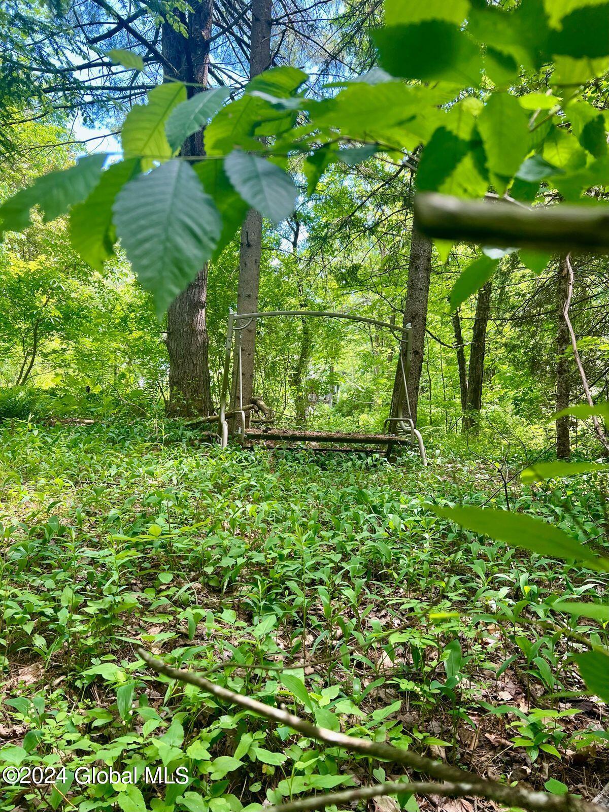 L5.2 Hermance Road Galway, NY 12074 - Photo 5 of 11 image0 (8)