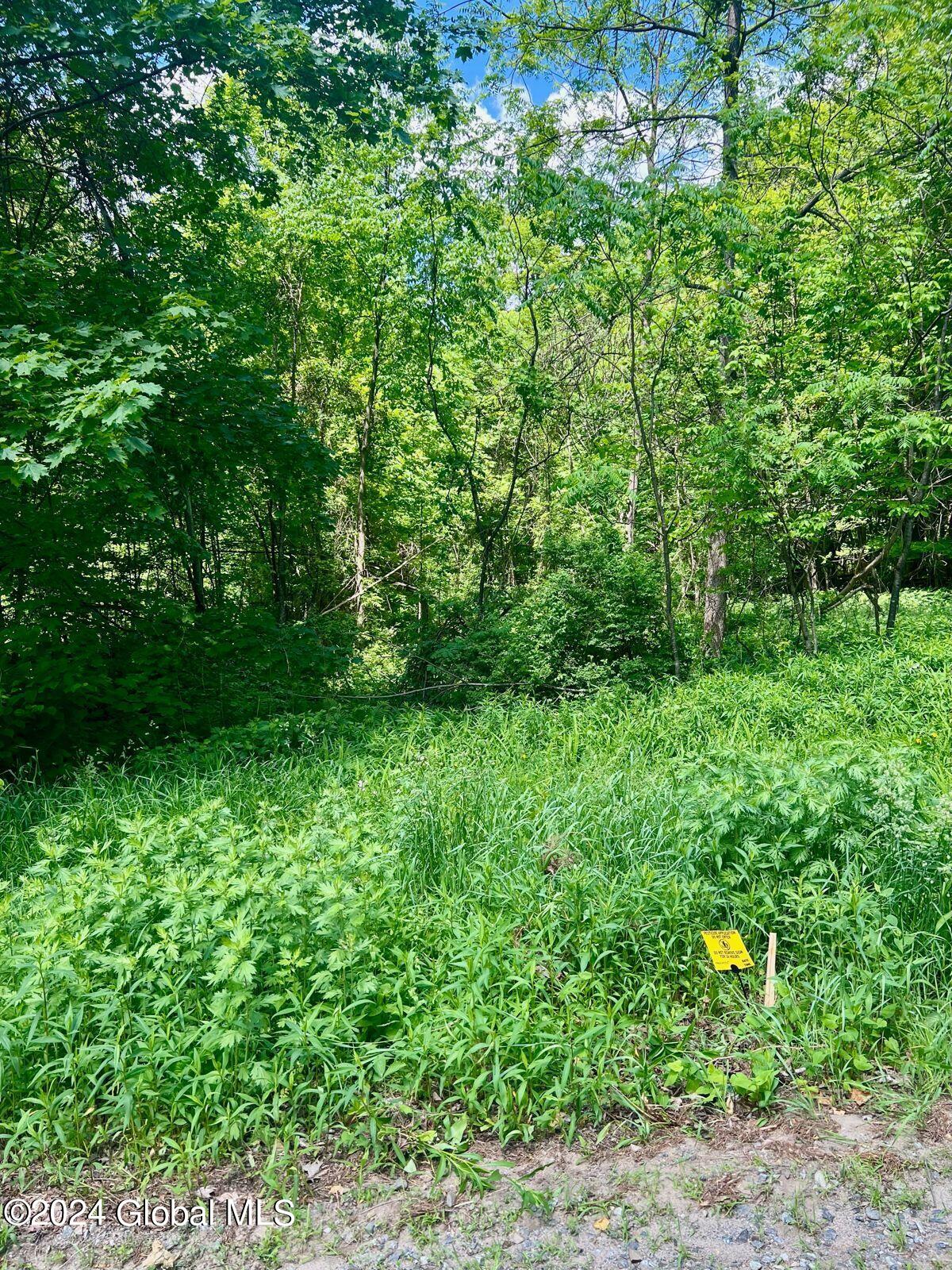 L5.2 Hermance Road Galway, NY 12074 - Photo 7 of 11 image0 (7)