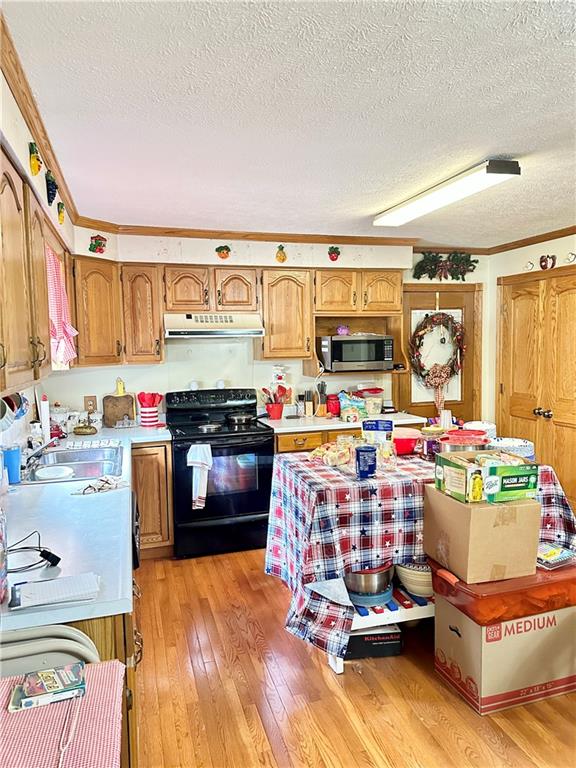 104 Tracy Lane Butler, PA 16001 - Photo 3 of 25