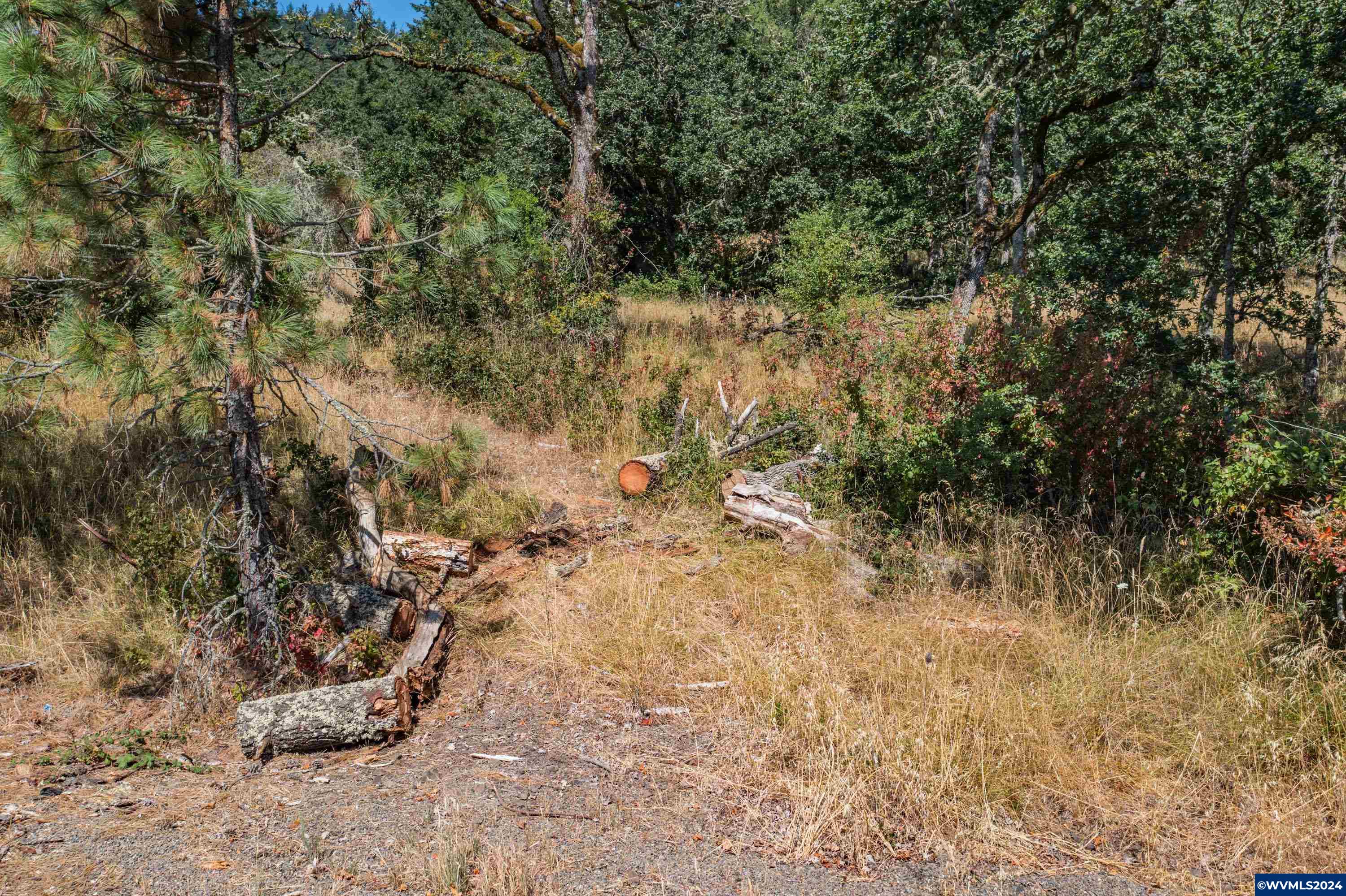 28920 Sheep Head Road Brownsville, OR 97327 - Photo 3 of 32