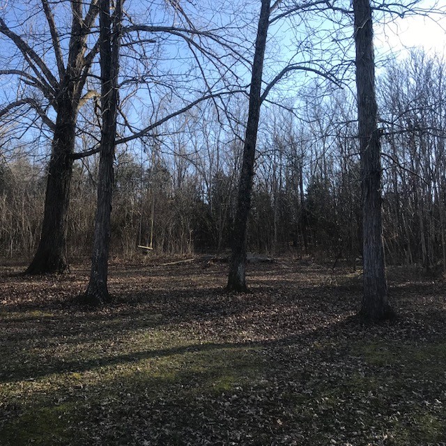 370 Hudson Road Watertown, TN 37184 - Photo 17 of 19 Gallery Image 17