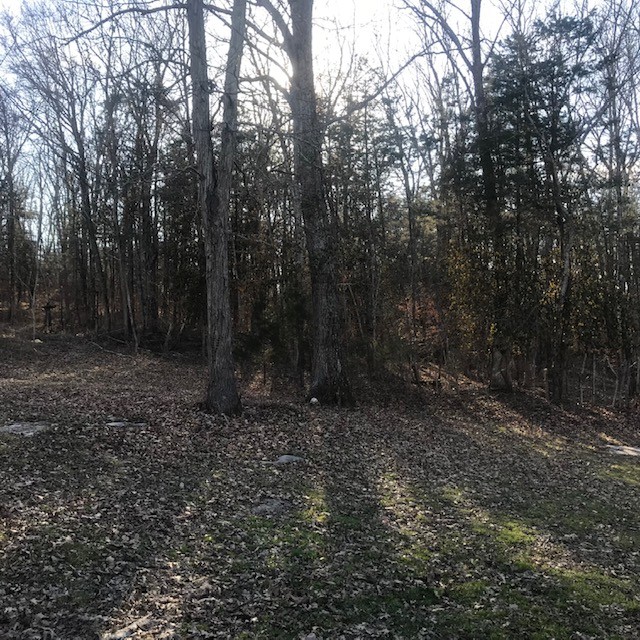 370 Hudson Road Watertown, TN 37184 - Photo 18 of 19 Gallery Image 18