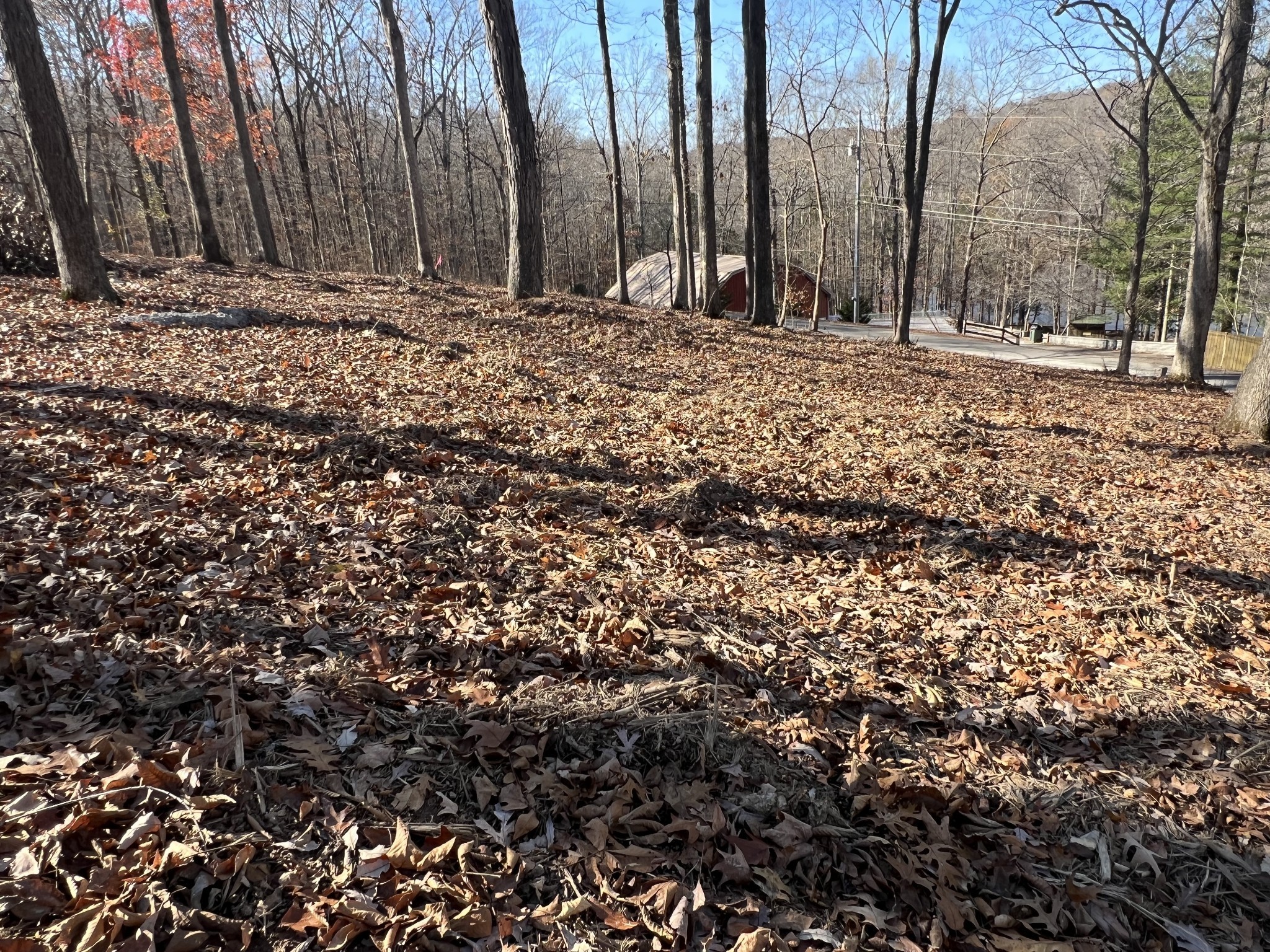559 Hickman Shores Road Dover, TN 37058 - Photo 7 of 11 Gallery Image 7