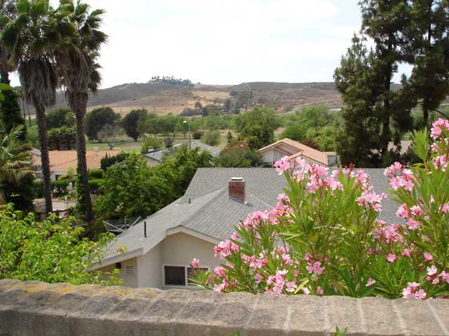 31133 Old River Road Bonsall, CA 92003 - Photo 4 of 18 Views!