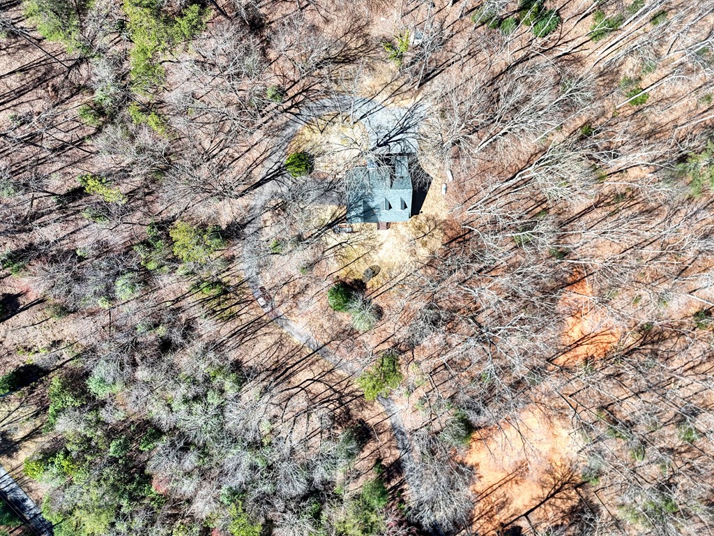 1336 Mt Pleasant Road Murphy, NC 28906 - Photo 46 of 55