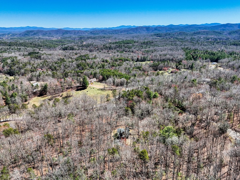 1336 Mt Pleasant Road Murphy, NC 28906 - Photo 48 of 55