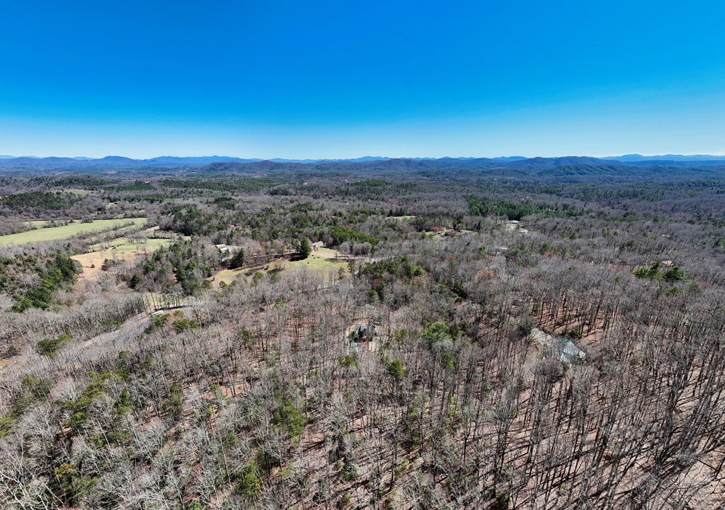 1336 Mt Pleasant Road Murphy, NC 28906 - Photo 49 of 55