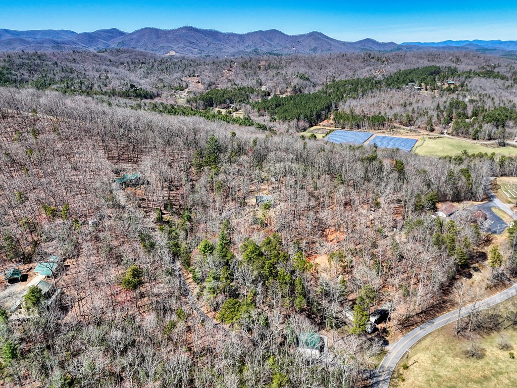 1336 Mt Pleasant Road Murphy, NC 28906 - Photo 51 of 55