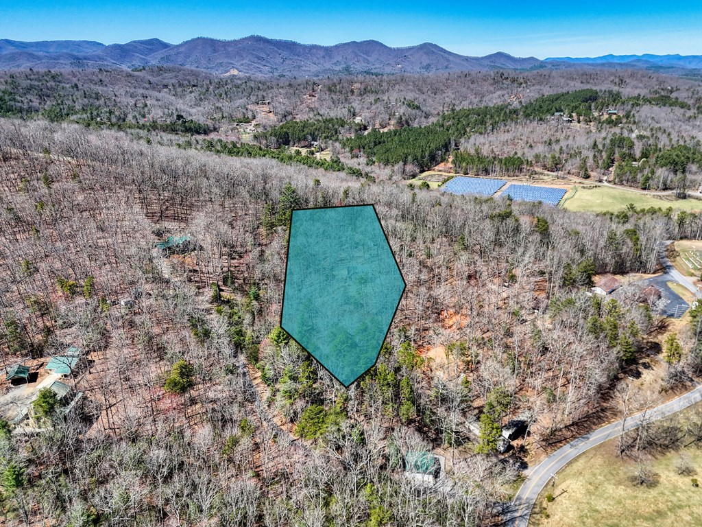 1336 Mt Pleasant Road Murphy, NC 28906 - Photo 52 of 55