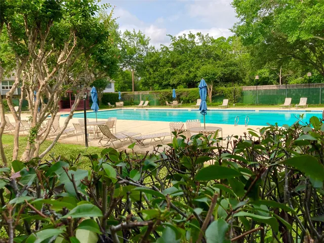 a view of a park with a large tree
