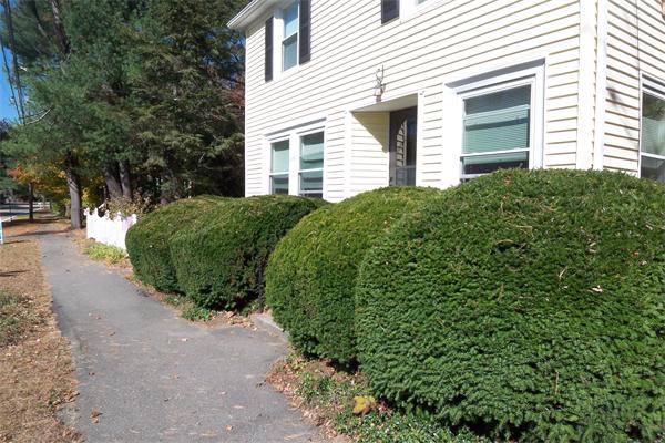 5-7 Hospital Road Medfield, MA 02052 - Photo 11 of 15 Gallery Image 11